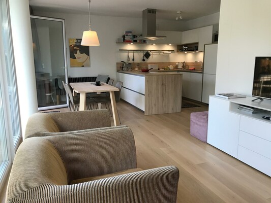 Apartment Sonnenhaus offene Wohnküche