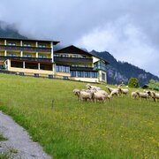 Das 3 * Superior Hotel Martin