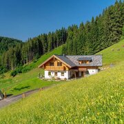 auszeit_im_almchalet_linharterhof 2