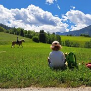 Ausblick am Hof genießen