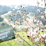 Gaestehaus-Erika-Gartenlodge-Hauser-Kaibling-myNes