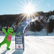 Start Kalis Cross Park