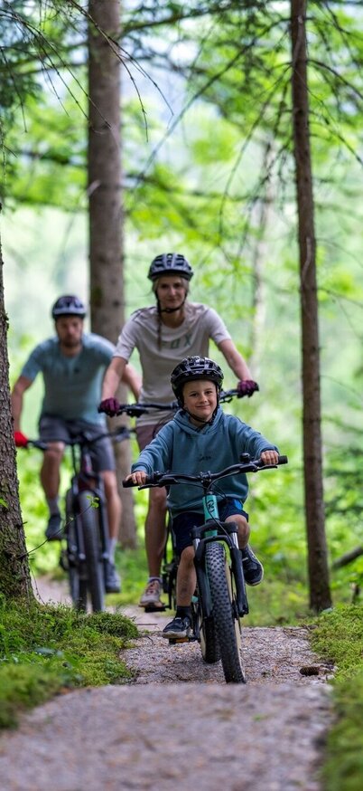 Mountainbiken auf dem Madame Flow Trail
