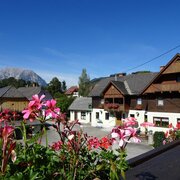 Blick durch die Blume zum Hof