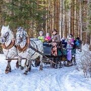 Pferdeschlittenfahrt