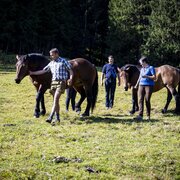 Köck Pferdekutschenfahrt | Familie Brandner | © WIRLPHOTO