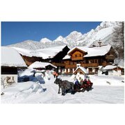 Pferdeschlittenfahrt im Schnee