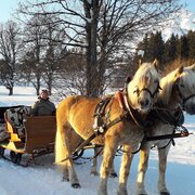 Pferdeschlittenfahrt im Schnee