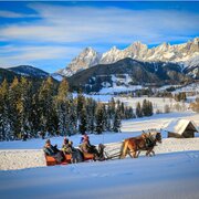 Pferdeschlittenfahrt am Mooshäusl