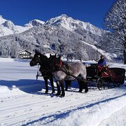 Kutschenfahrt im Schnee