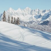 Dachsteinblick