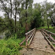 Holzbrücke am Wasserplatz Enns