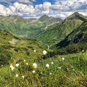 Sölkpass | Blick auf die Sölkpassstraße