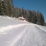 Sattelberghütte Winter