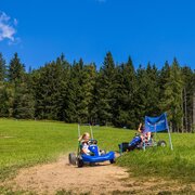 Gokart