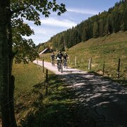 Mountainbiker auf der Spechtensee Runde
