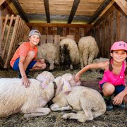 Streichelzoo Haus Kaibling