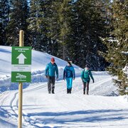 Winterwandern Rittisberg  | © Photo Austria - Hans-Peter Steiner