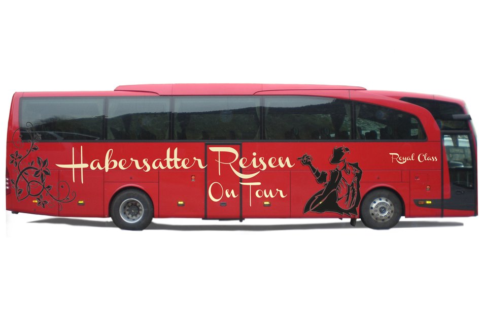 Reisebüro, Taxi und Busunternehmen Habersatter - Impression #1